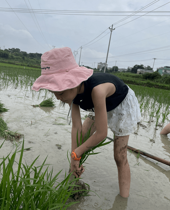 看过的都觉得不可思议!_秧苗