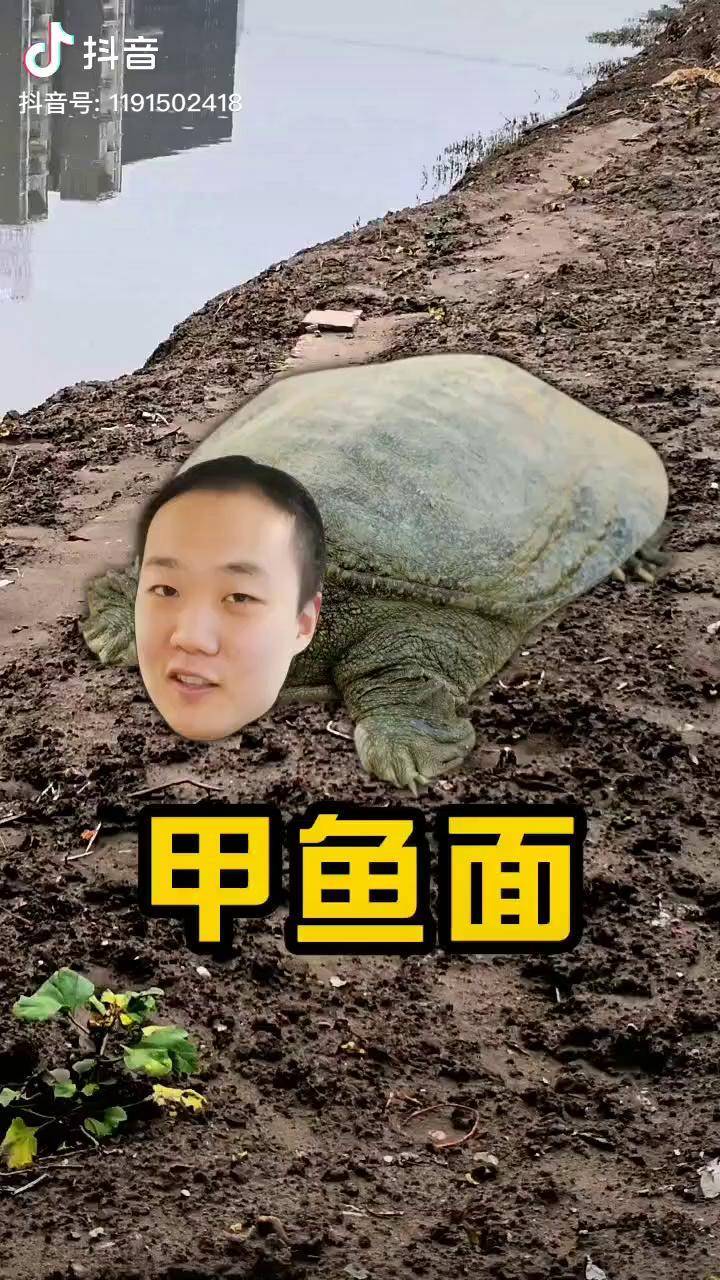 猛男一次吃一整只甲鱼会发生什么美食