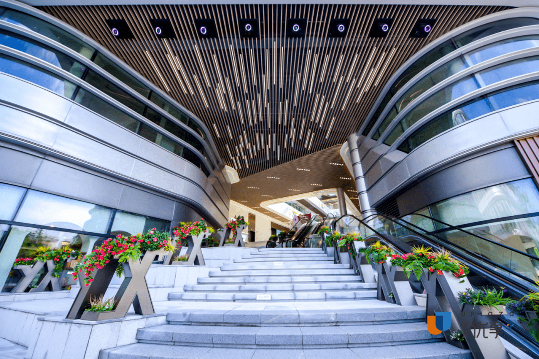 花芯和|官宣！「城开优享+」华丽开业，开启焕新生活新篇章！