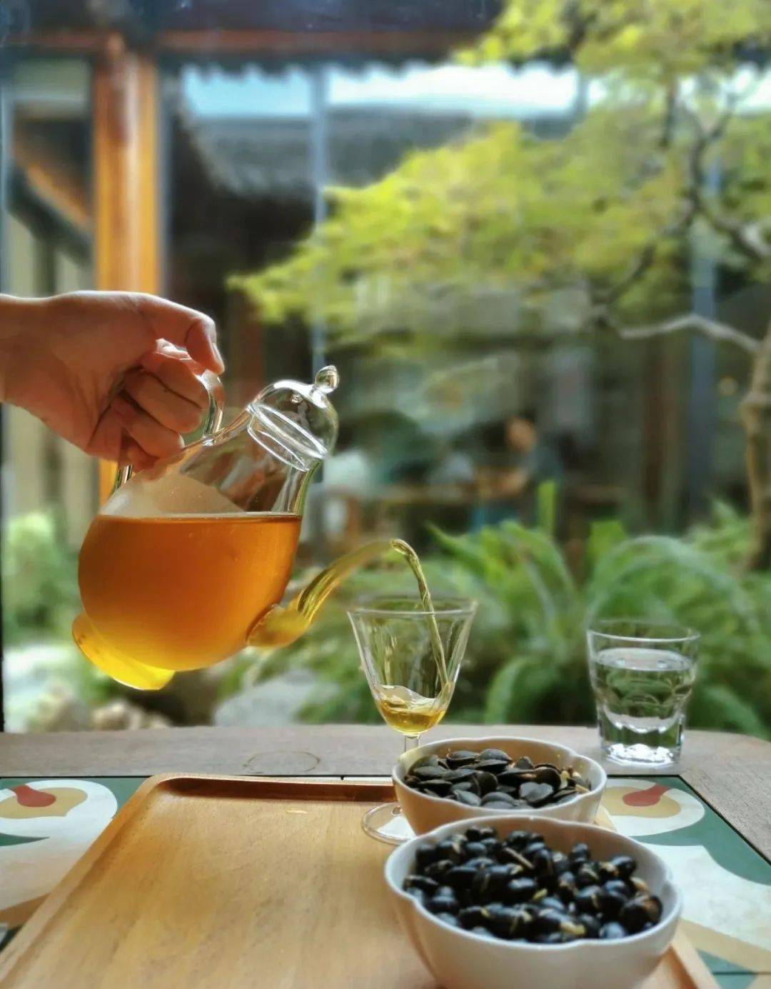 有处庭院,喝茶读书,不争朝夕