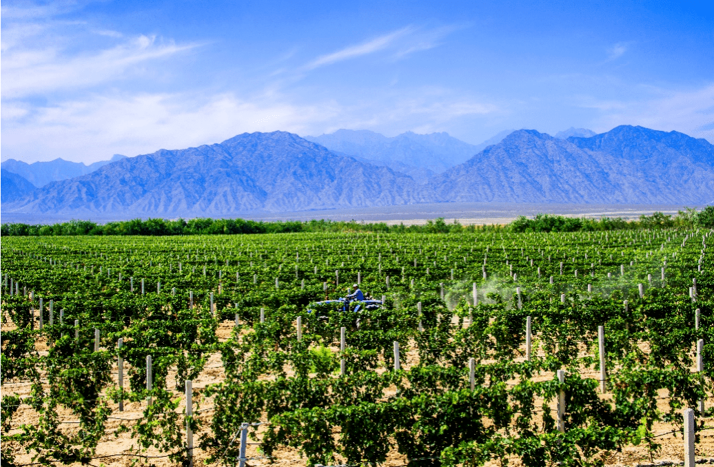 文化|登陆全球!我爱银川