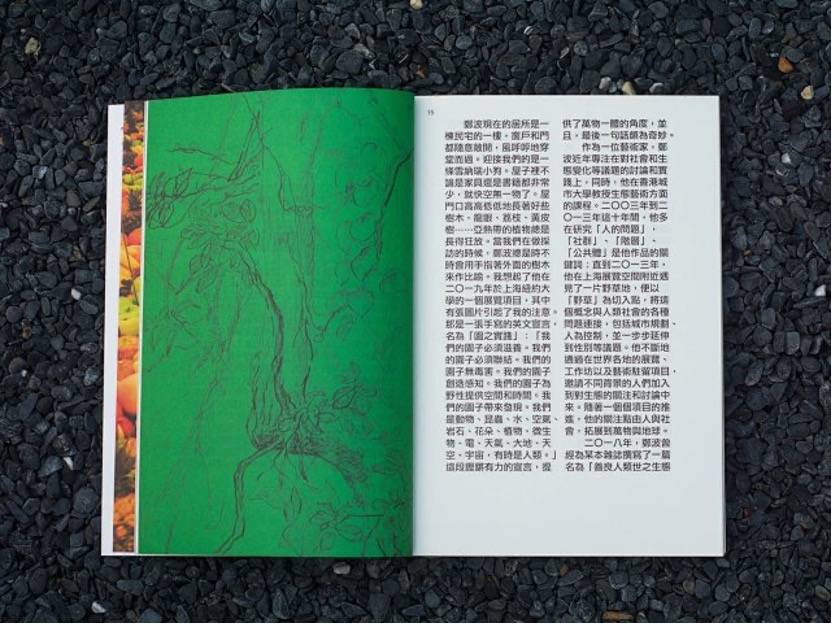 书展|记录城市：一周城市生活