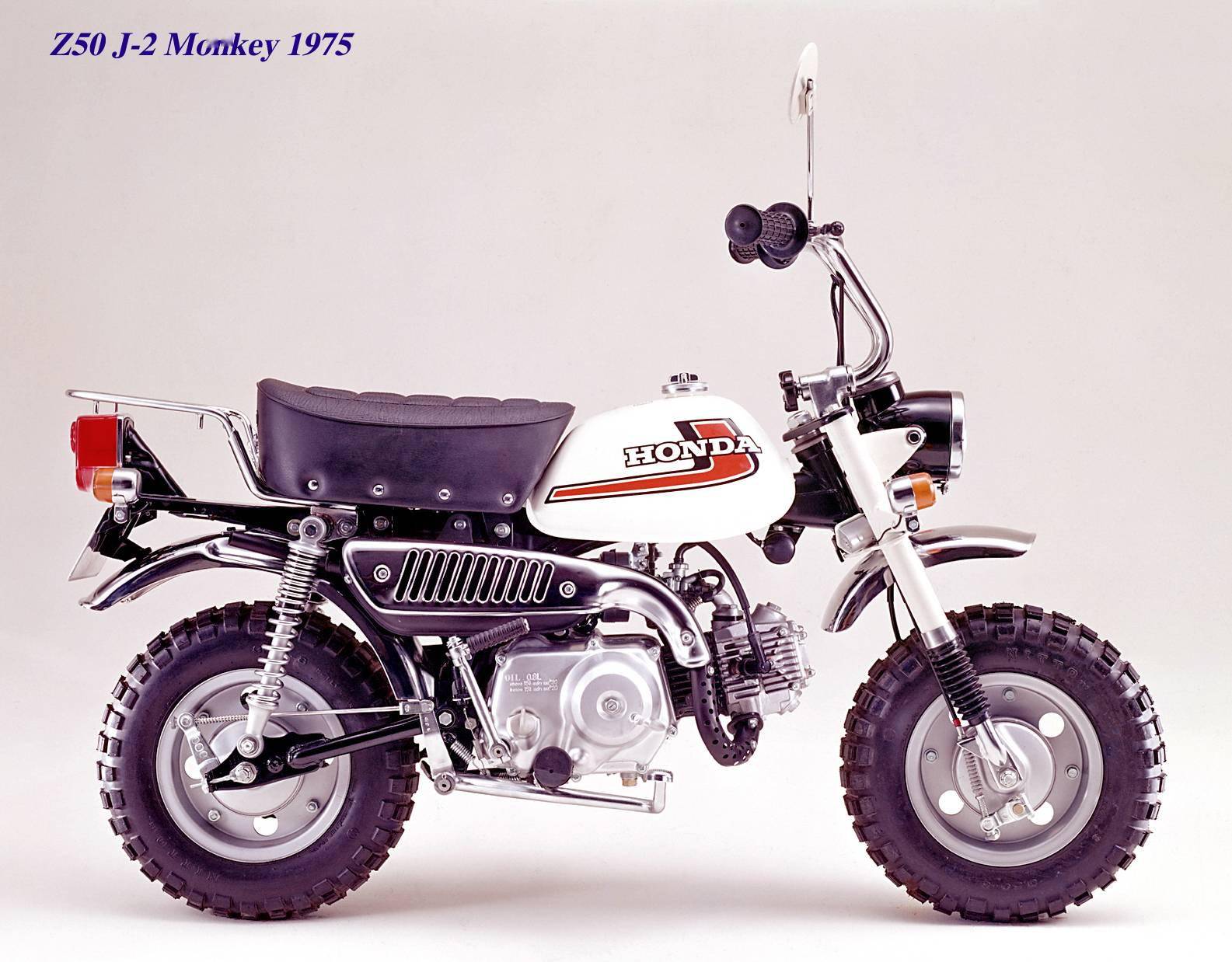 下面的图片,从上世纪七十年代末开始推出的 gorilla " 大猩猩 ".