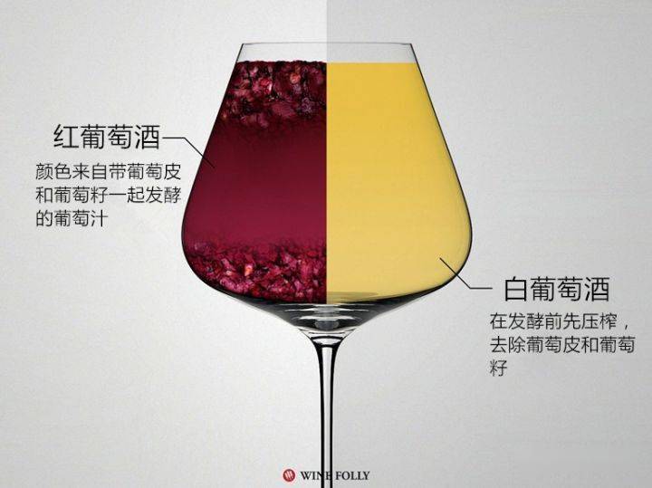The|红、白葡萄酒间真正的区别