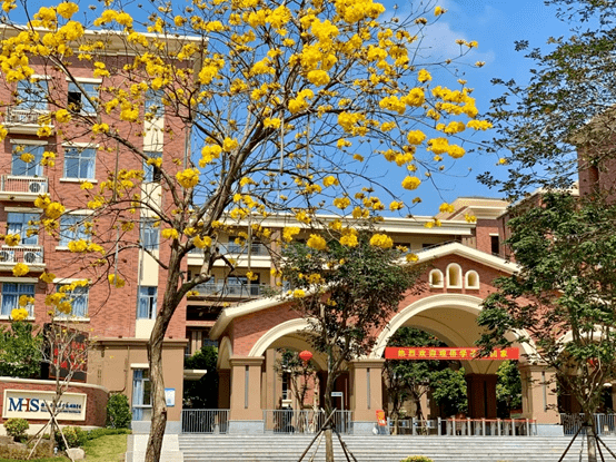 中学海南华侨中学与总部设于香港的观澜湖集团携手创建,位于海口市观