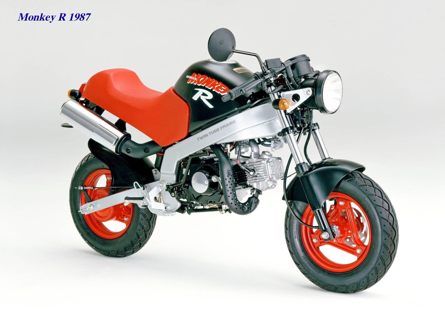 下面的图片,从上世纪七十年代末开始推出的 gorilla " 大猩猩 ".