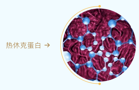 Before|秘籍 | 从滤镜美人到生图惊人，21天，拿捏了