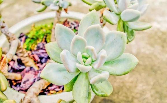 挪威|村上春树经典语录，每一句都能触动你的心扉