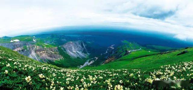 长白山王池花海图片