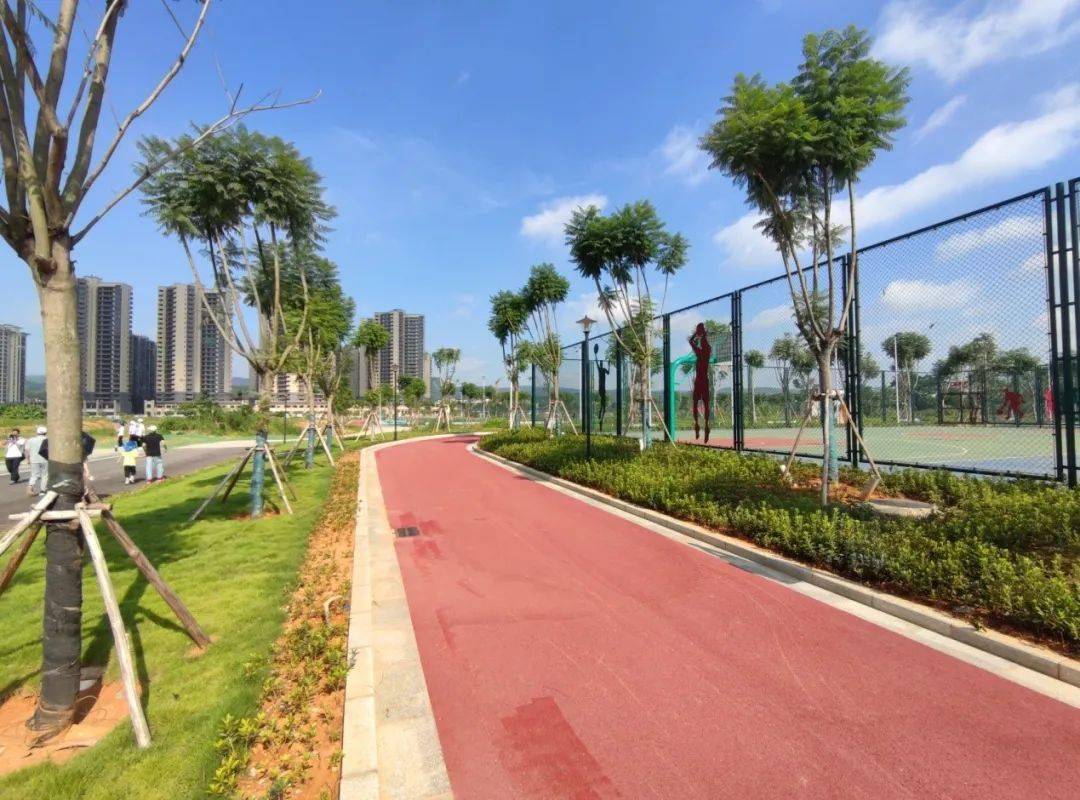 柳州体育休闲广场图片