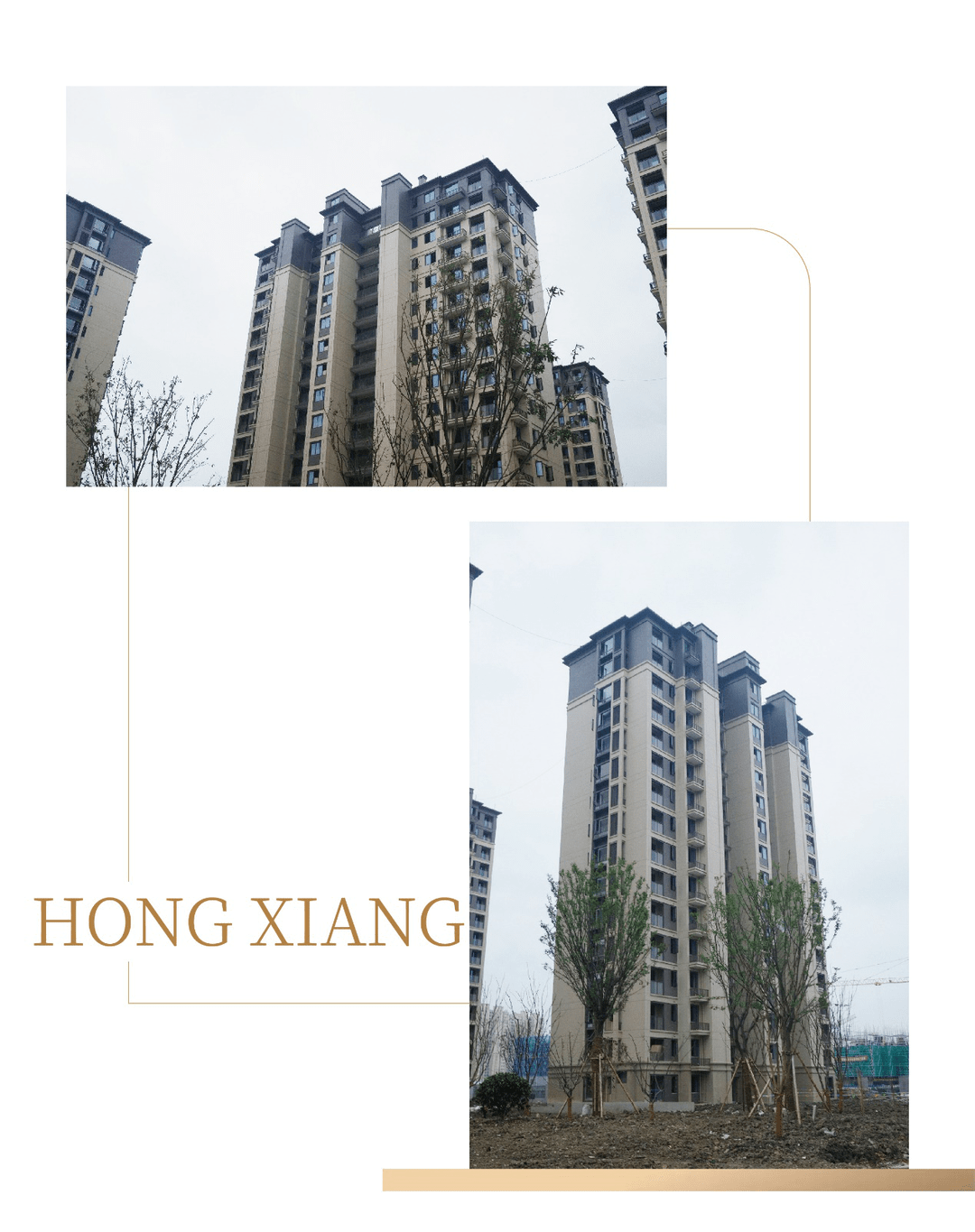收尾工作进行中鸿翔·杨柳