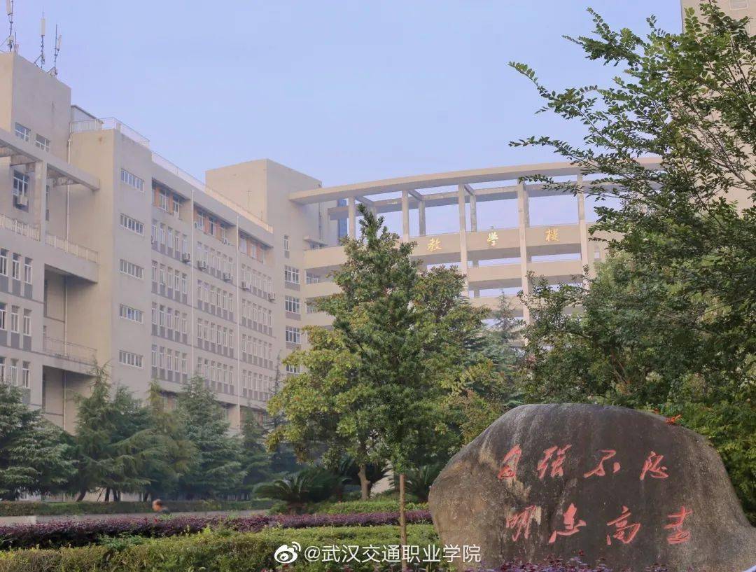 武汉设计工程职业学院图片