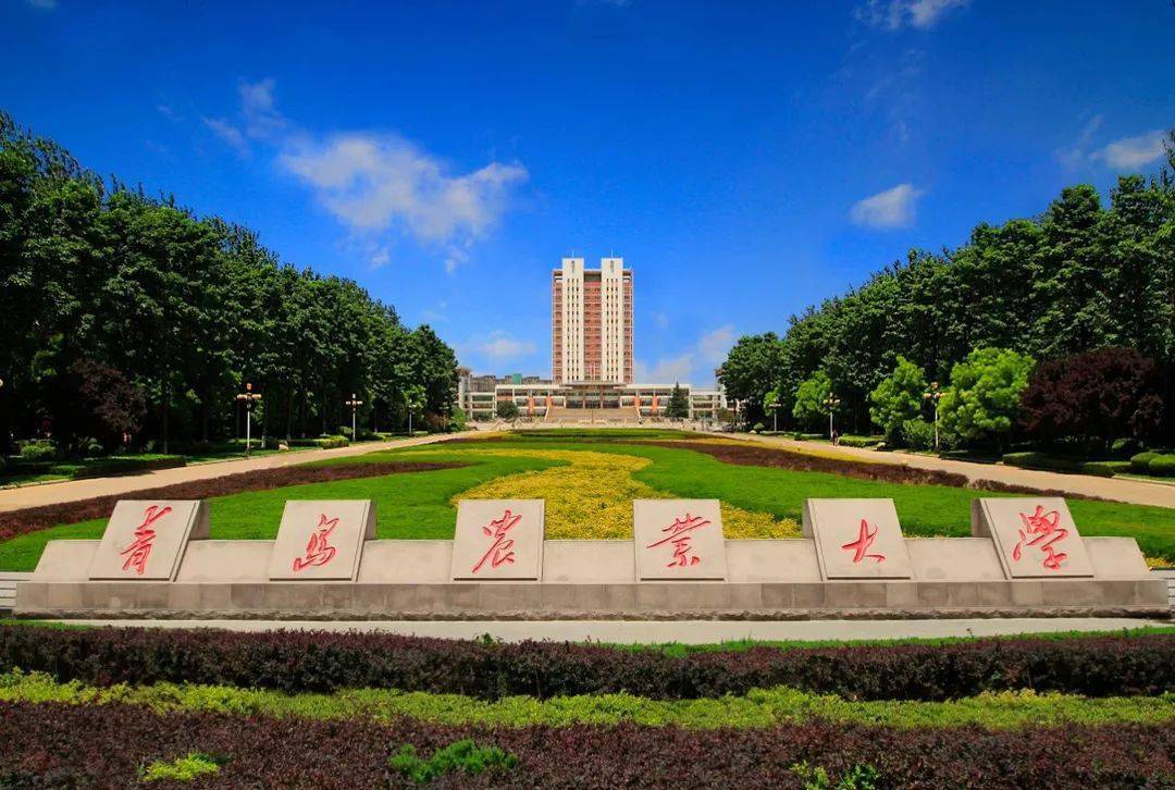 大学如何学双专业双学位 e11e40f8639d42bbb36af108c0bdea3f.jpeg