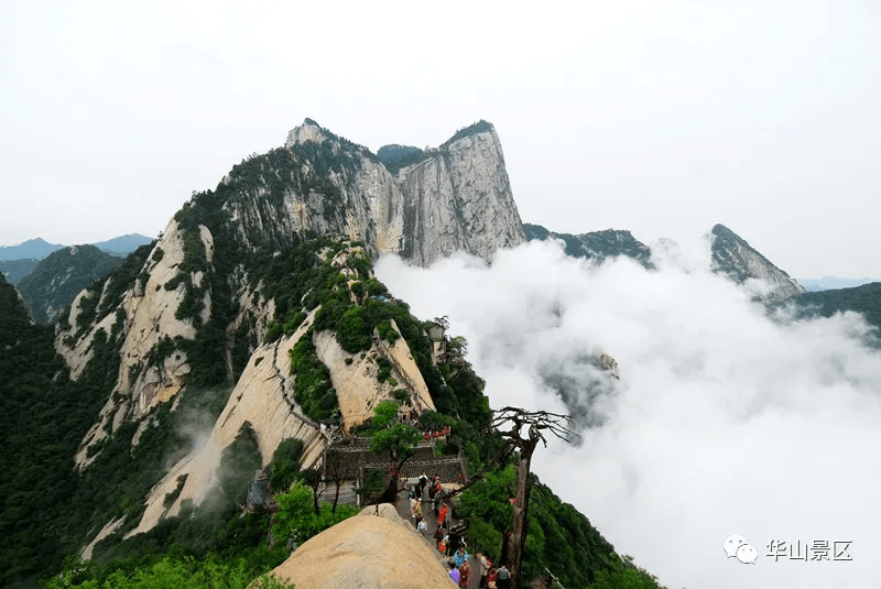 华山景区公告_登山