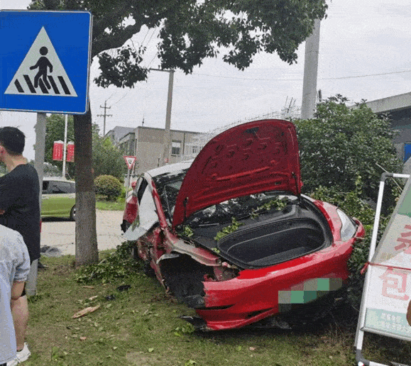 579_516gif 动态图 动图