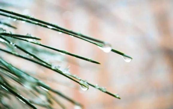 挪威|村上春树经典语录，每一句都能触动你的心扉