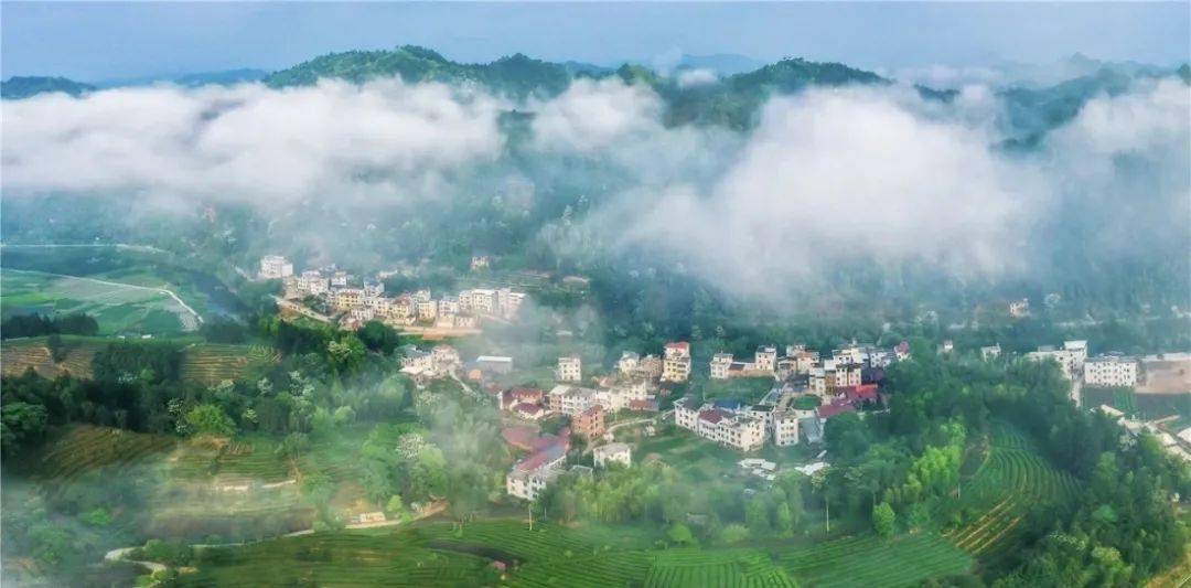 我为群众办实事 | 武平桃溪集镇即将惊艳蜕变!期待"新颜值"!