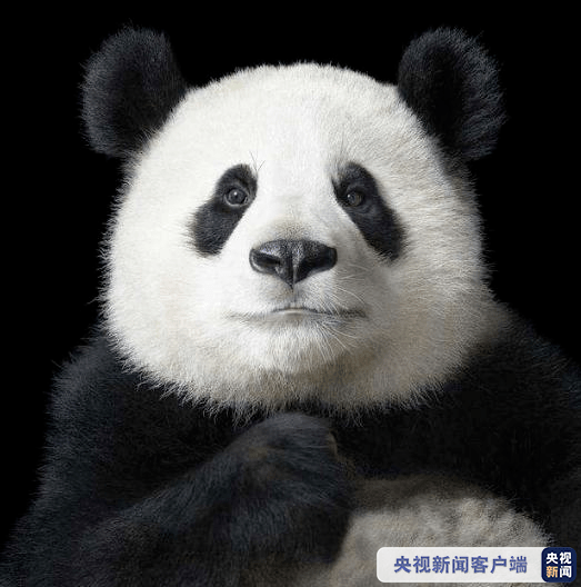 e9ec1de6d5374f988f308a38ad7adff7.png