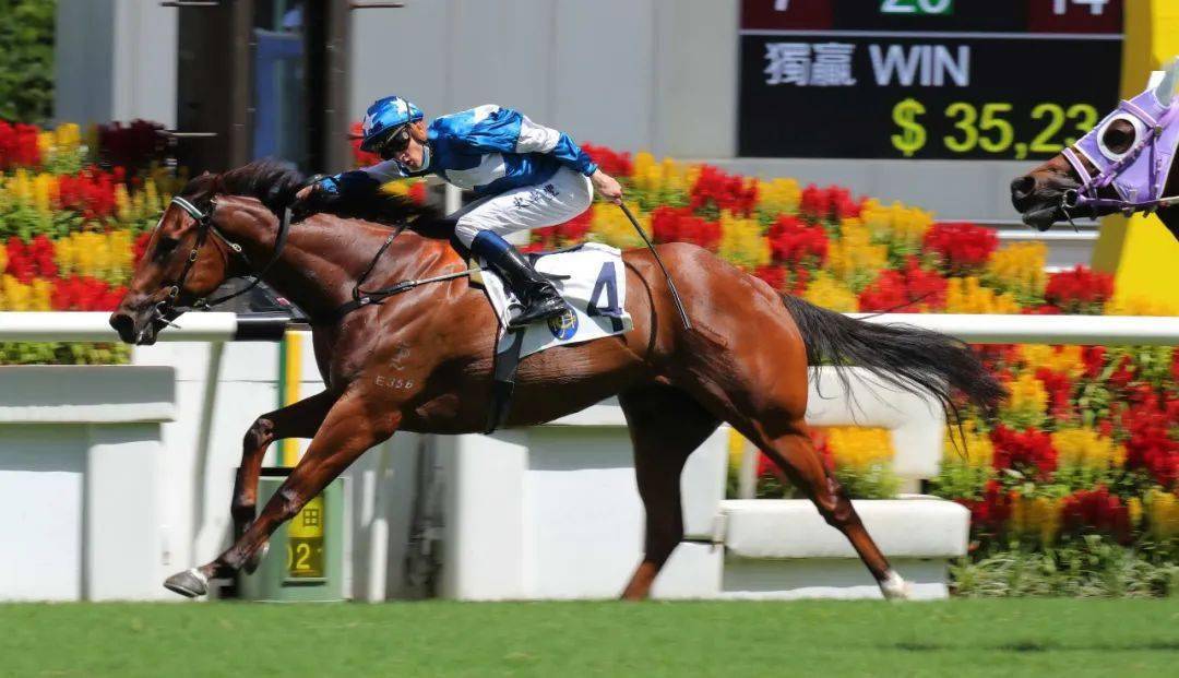 沙田煞科|应届冠军骑师莫雷拉火速1100w