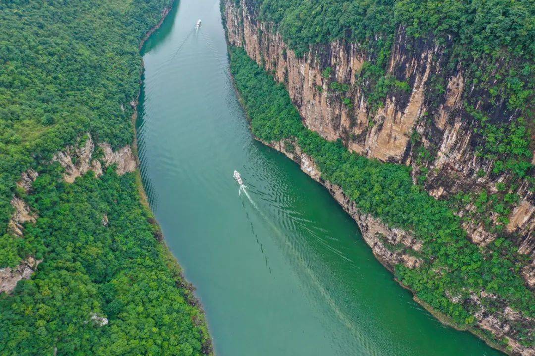 共同构建人与自然生命共同体