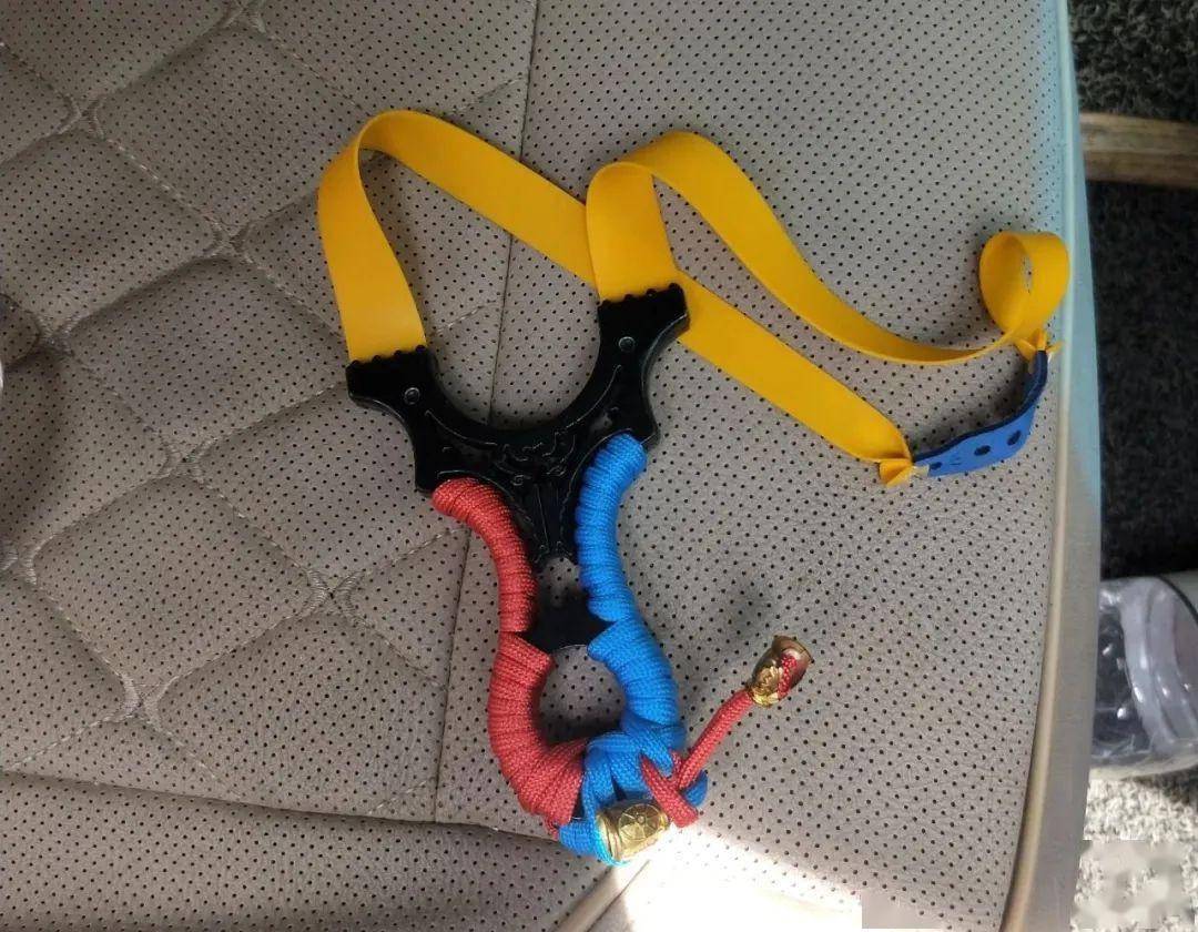 流窜作案 专偷土鸡 莲乡公安擒获两名偷鸡"黄鼠狼"