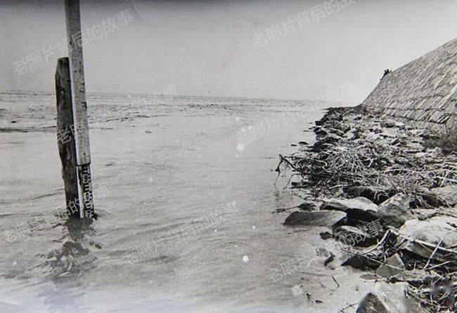 【长河岁月 光影印记】与洪水较量:1982年开封黑岗口抢险始末_黄河