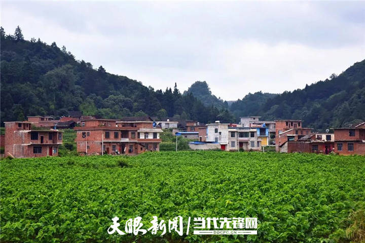 我的扶贫故事修筑致富路发展种桑助脱贫丨荔波县甲良镇丙外村村支书潘