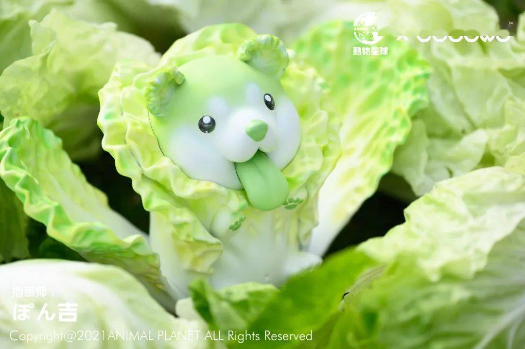 67新品预定~ 动物星球 dodowo 果物精灵 网红款 开花菜狗