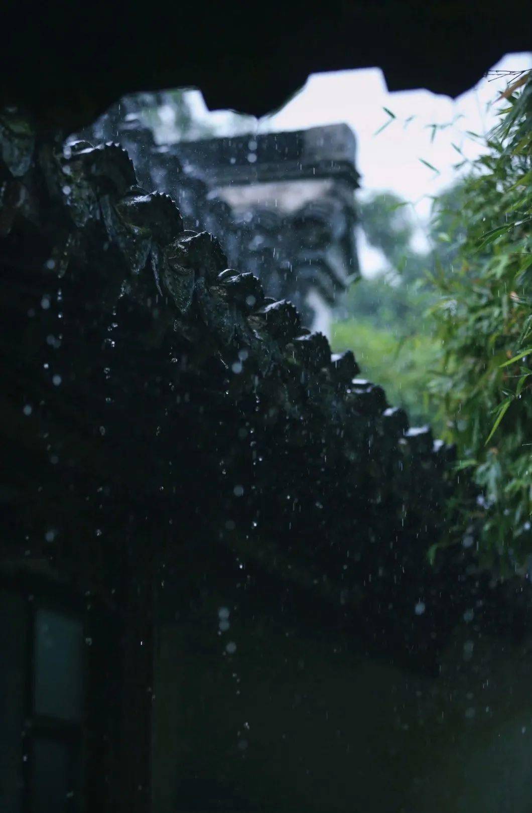 清赏书房听雨四时风雅