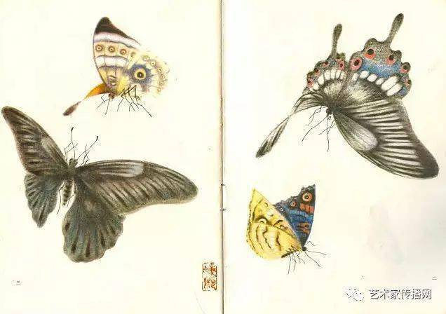 万钟百蝶图中国一绝没骨工笔蝶画大家