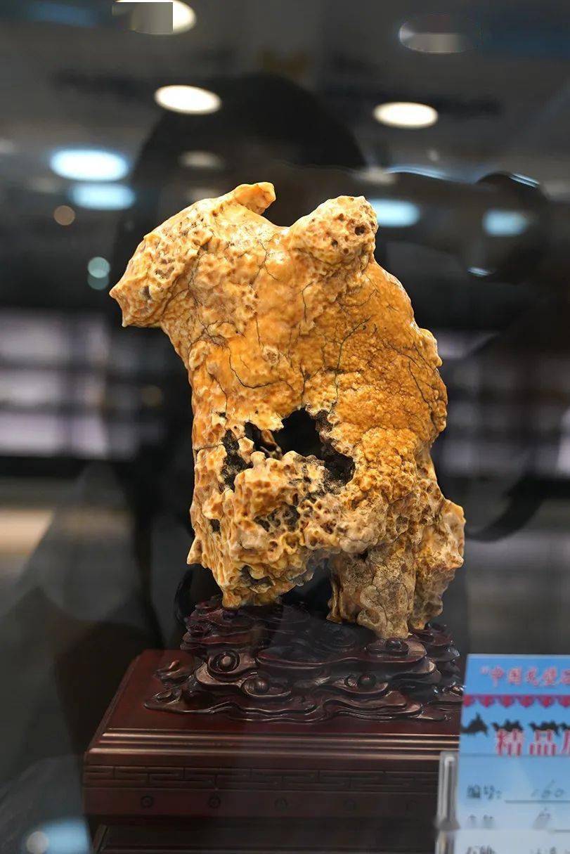 乌拉特后旗赏石博览会获奖作品选赏!