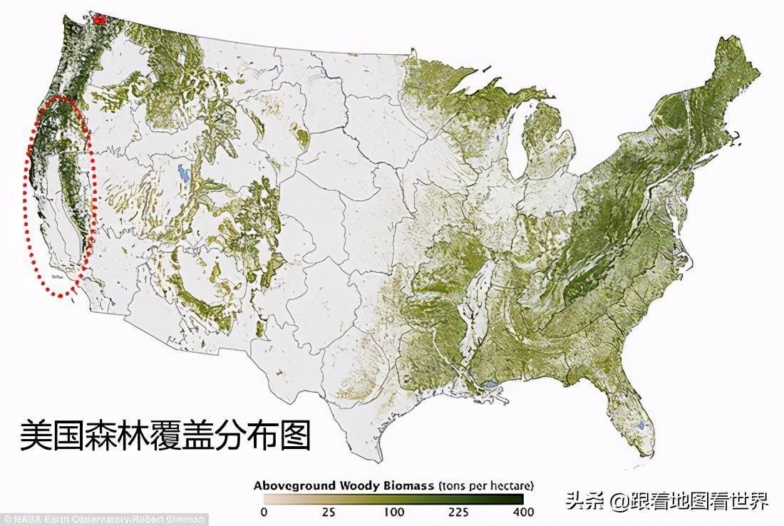 美国森林分布图高清图片