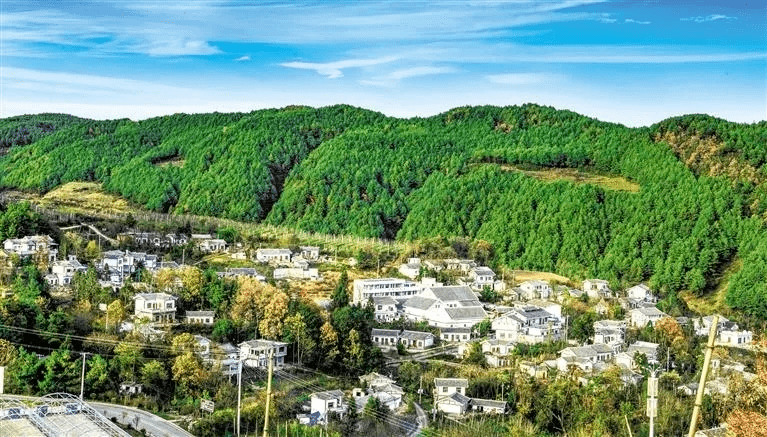 納雍縣大坪箐國家溼地公園 (圖片來源:微信公眾號