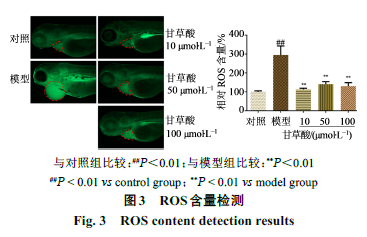 基于斑马鱼模型和网络药理学的甘草酸拮抗乌头碱心脏毒性作用与机制