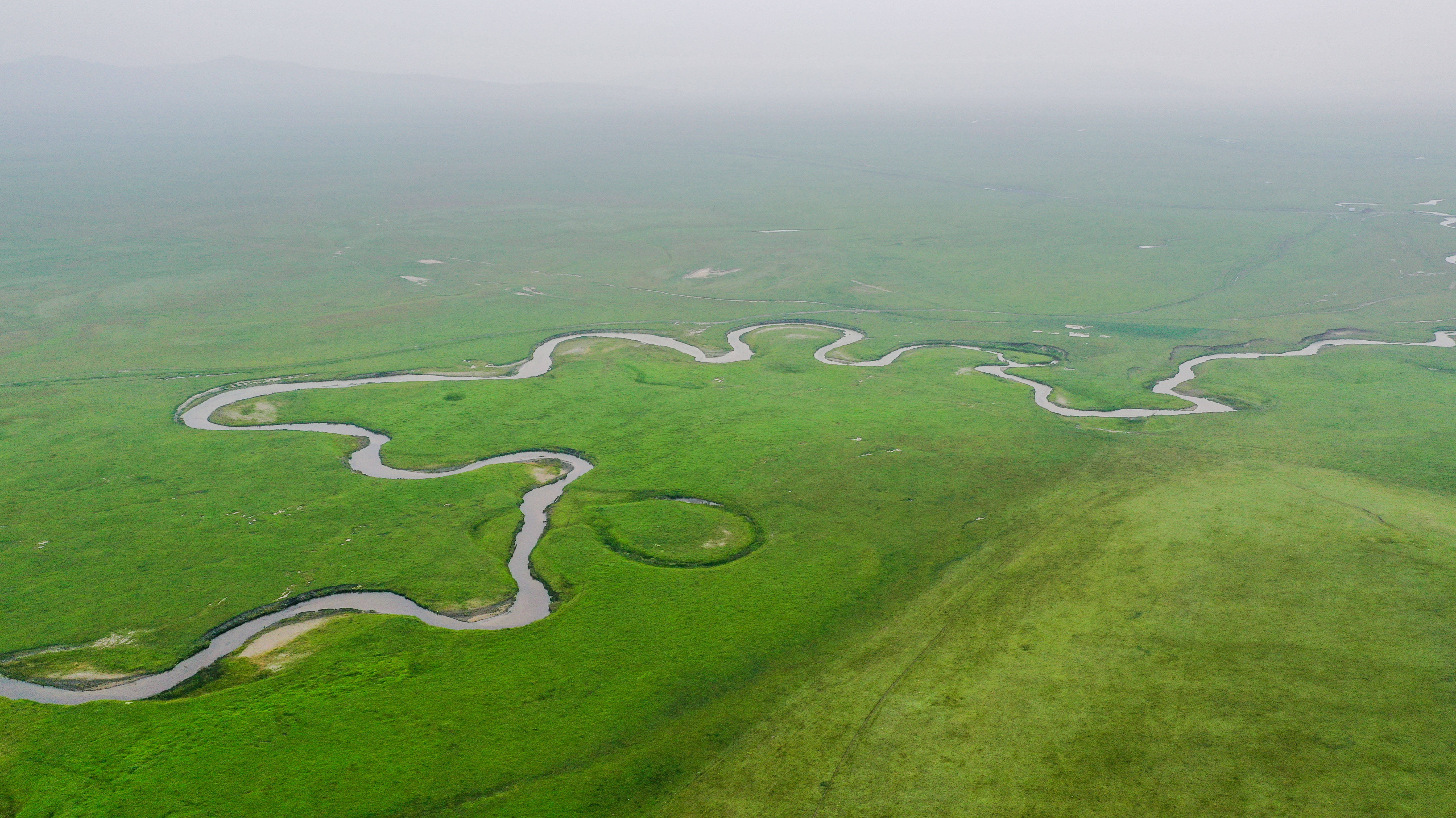 盛夏时节,内蒙古锡林郭勒盟东乌珠穆沁旗草原水草丰美,乃林河流淌其间