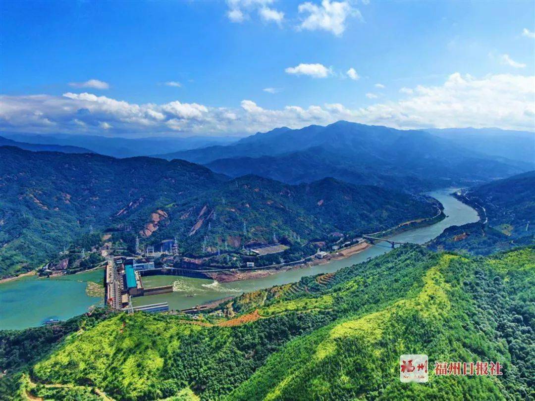 罕见是豹还是猫这种动物惊现福州