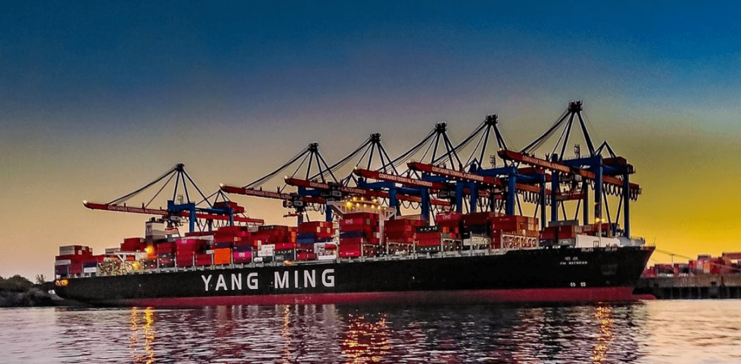 阳明海运否认订购24000teu集装箱船航运界