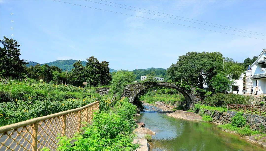 花开花谢终有时,寻仙踏访桃源乡—美丽乡村桃源游_阮遇