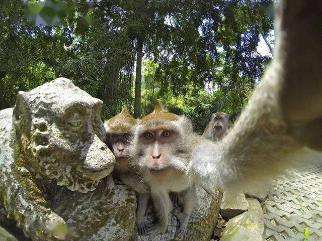 分享上天入地的精彩瞬间