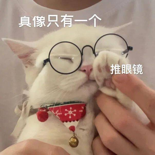 完全精准吐槽来看看这组可爱猫咪表情包猫猫有什么心理活动可爱猫咪