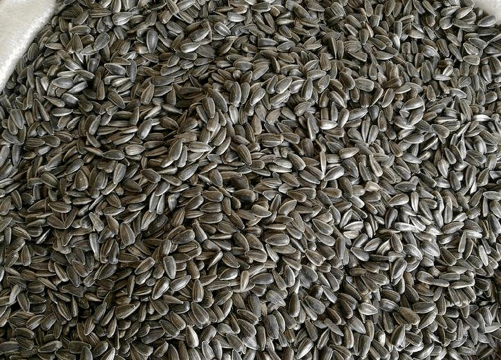 除大豆外的榨油用含油籽仁,主要包括油菜籽,花生,亚