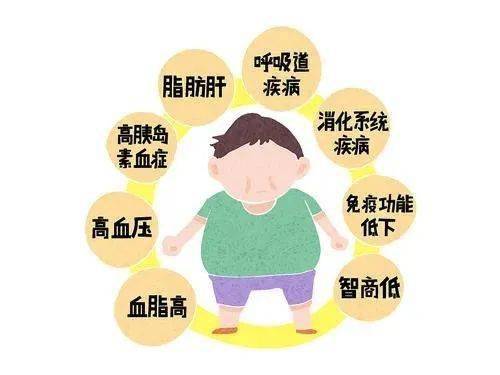 儿童怎么减肥最有效 8ff42a6fe359489190a20d42abf17c87.jpeg