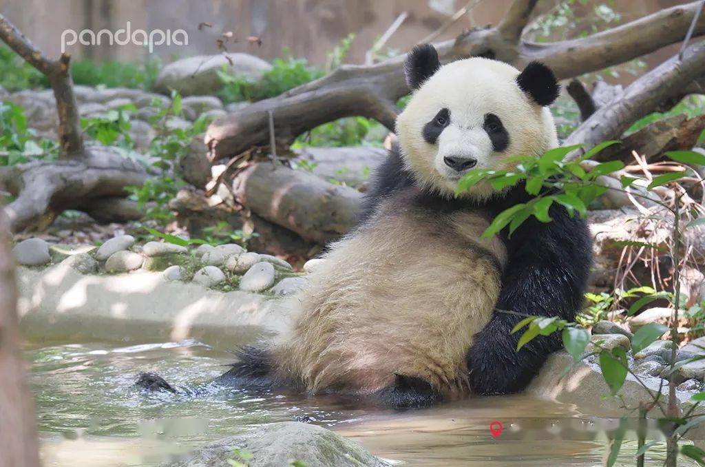霸道总裁春生哥哥和他的小迷妹
