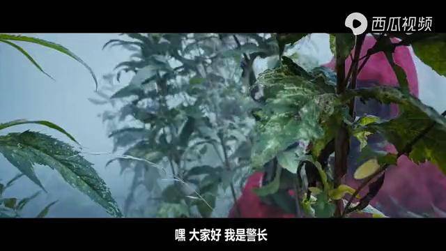 2021恐怖片地表惊旅真菌邪教的高概念组合但真的很难看