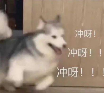 bd152efa19ca4592a79a03ece62ef104.jpeg
