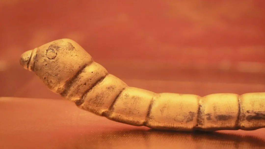 大型理论节目追赶超越谱新篇人不负青山青山定不负人绘就安康绿色崛起