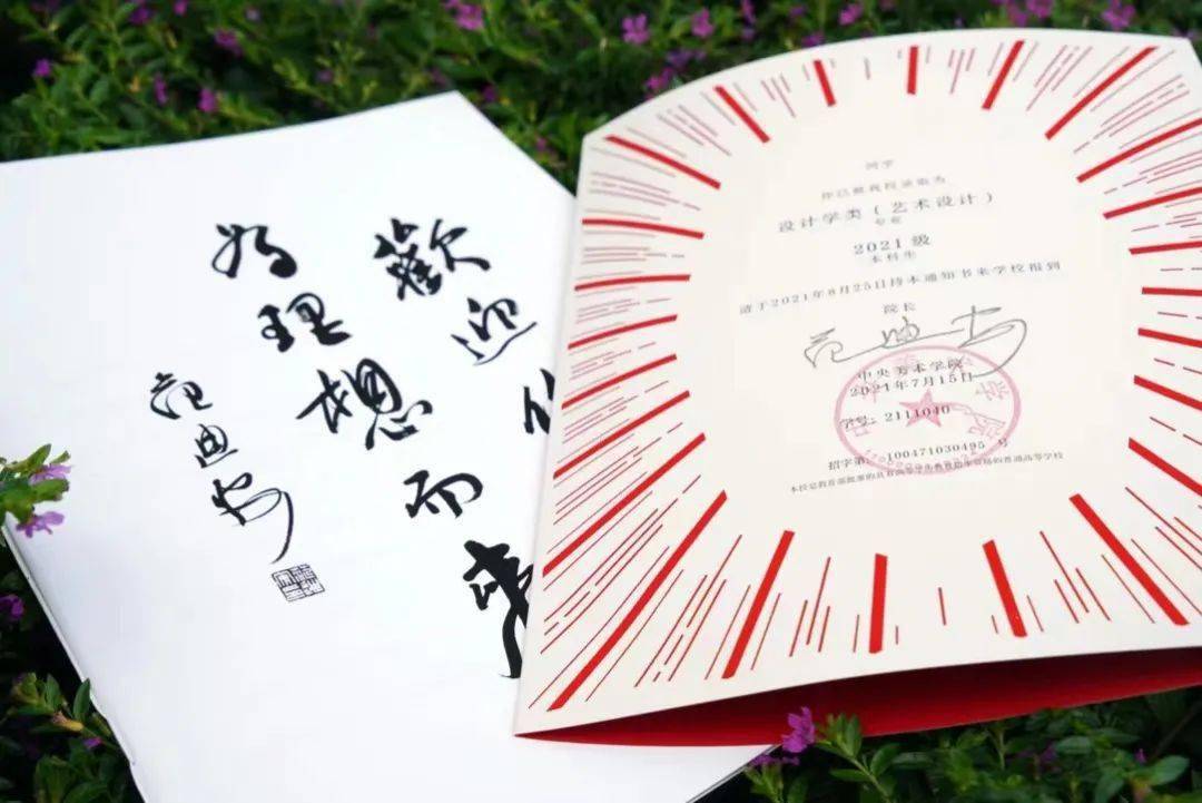 中央美术学院2021年本科招生录取情况查询