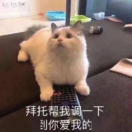 3a713f56c4b146c6943aa3ddaf600574.jpeg
