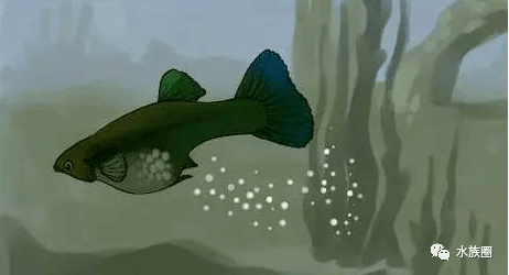 3ae5145069b847b892022fde1b3ac49d.png