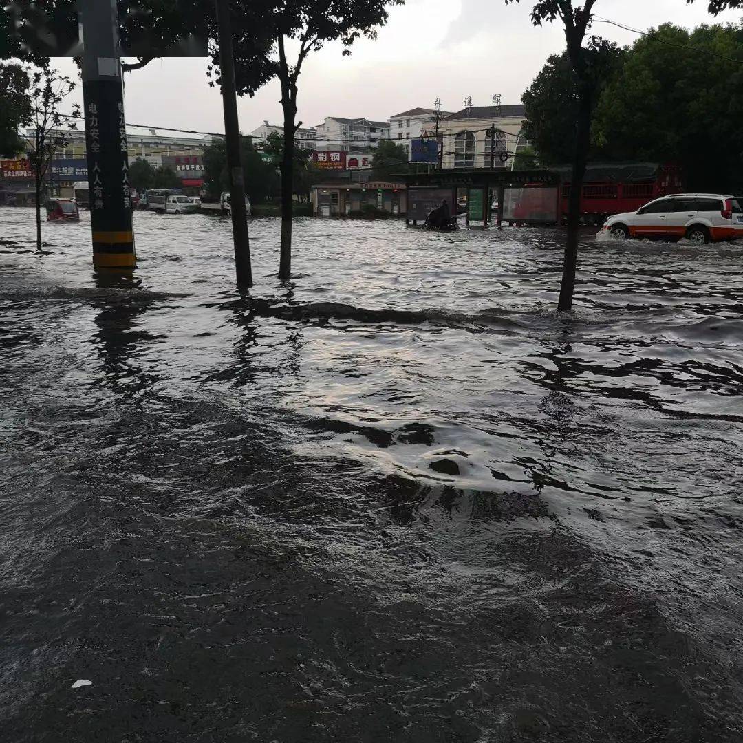 瓢盆大雨图片